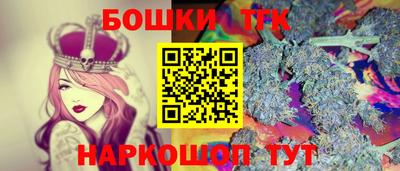 индика Волжский