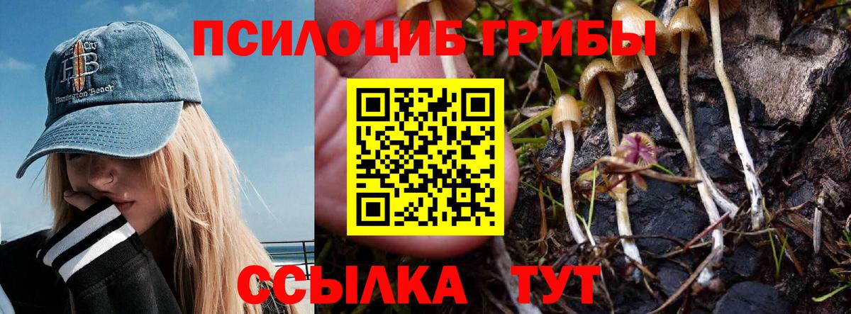 Галлюциногенные грибы прущие грибы  купить наркоту  Псилоцибиновые грибы Psilocybe  Назрань  Вход с VPN 